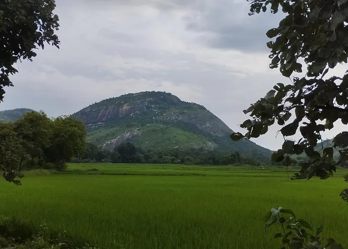 Palash Pahar Resort