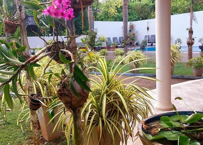Turtle Paradise Villa