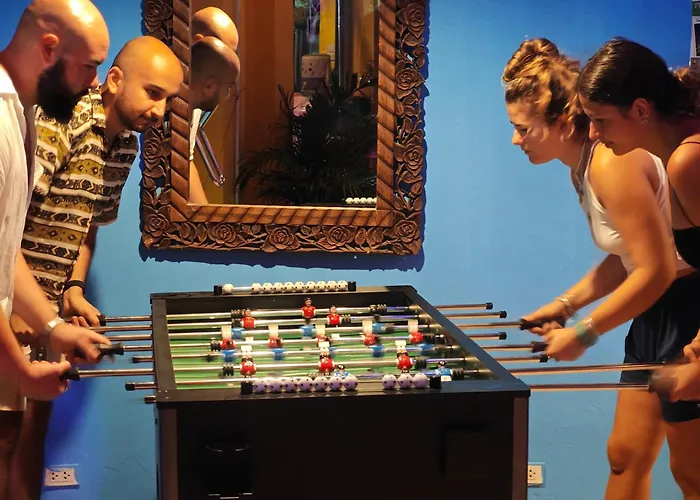 The Funky Monkey Hostel - 18 To 40 Years Old Only