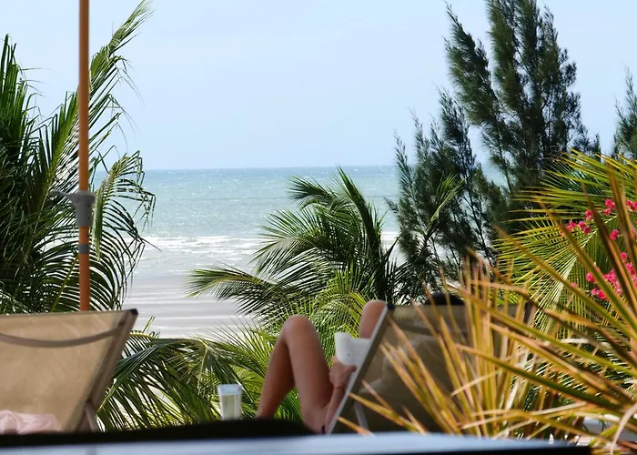 Laventana Tatajuba