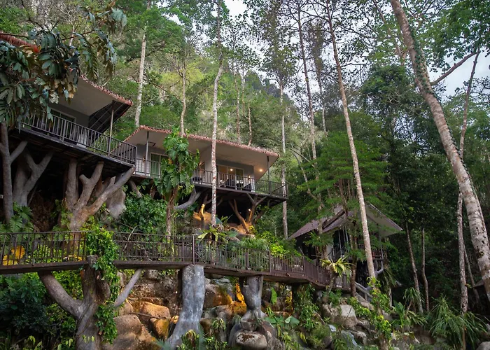 Rock And Tree House Resort