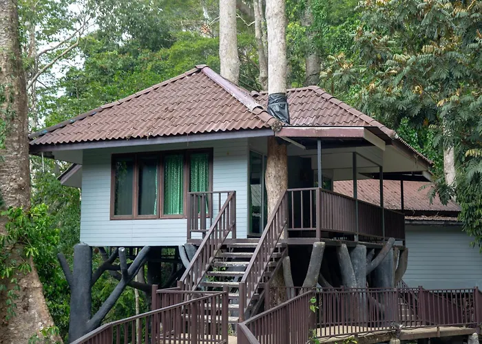 Rock And Tree House Resort