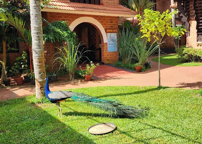 God'S Own Country Kovalam By Bestinn Leisure