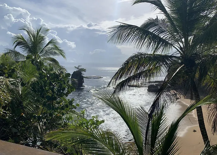 Pangea Lodge Tropical Vibe Home With Shared Pool