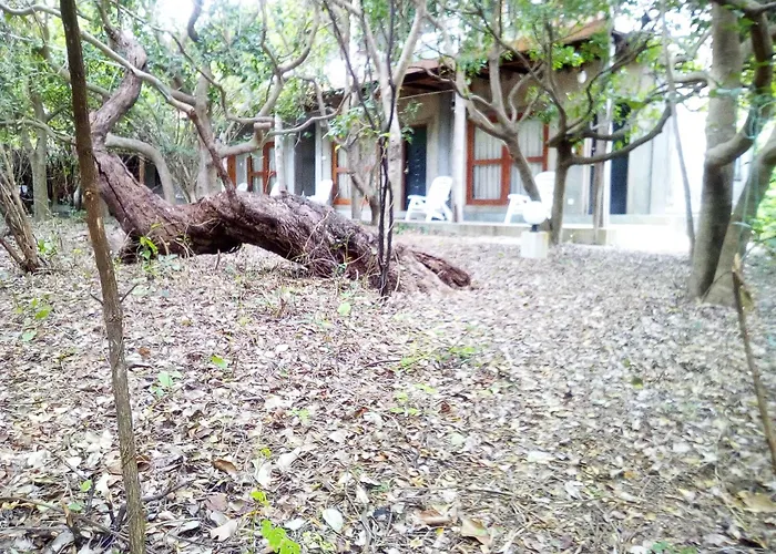 Black Forest Beach Resort