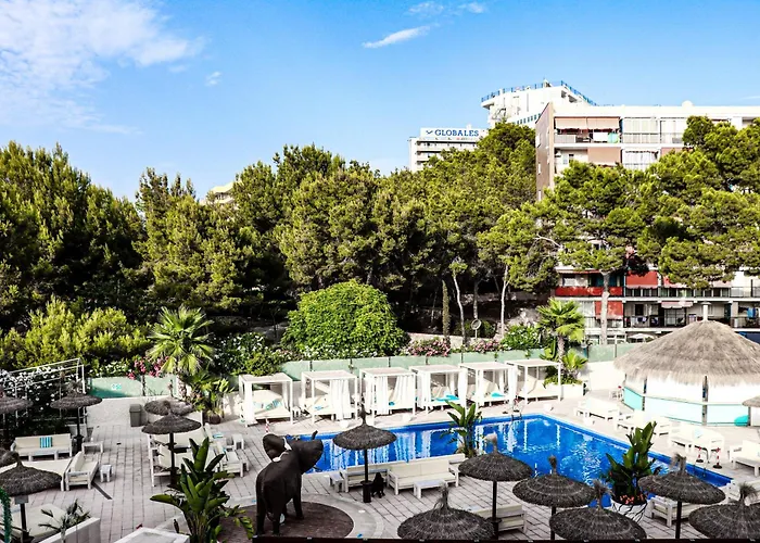 Apartamentos INN