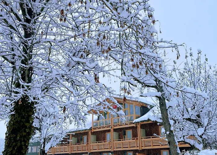 Hotel An Der Brunnader
