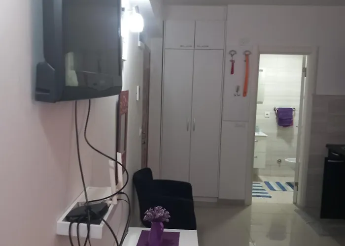 Apartman Savic