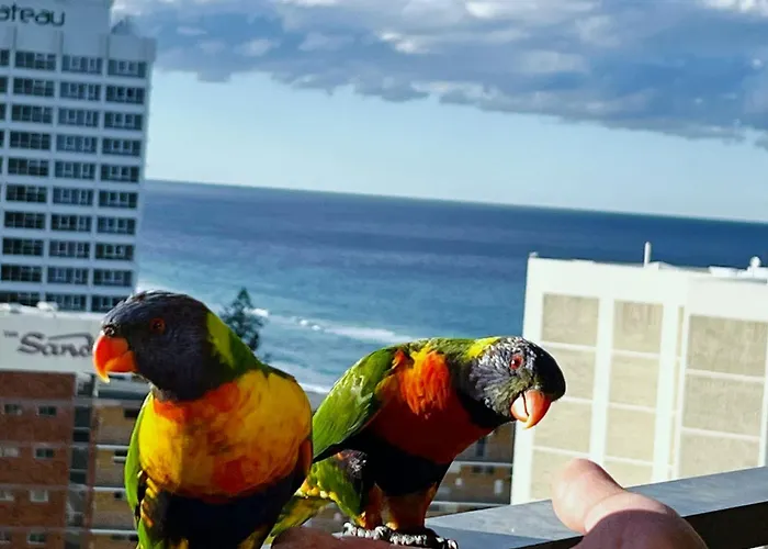 Top Of The Mark- Top Floor Apartment - Parking, Tennis & Pool