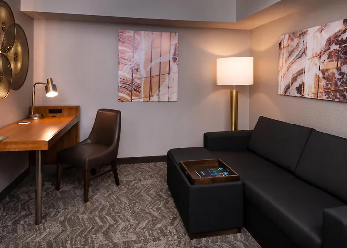 Springhill Suites By Marriott Pittsburgh North Shore
