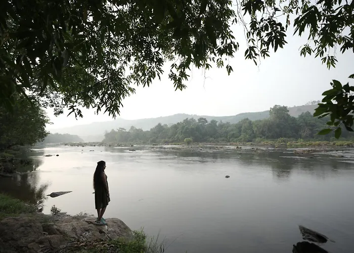 Clive Ten Resorts Athirappilly,10 Minutes Drive From Athirappilly Waterfall