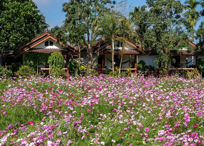 The Nest House