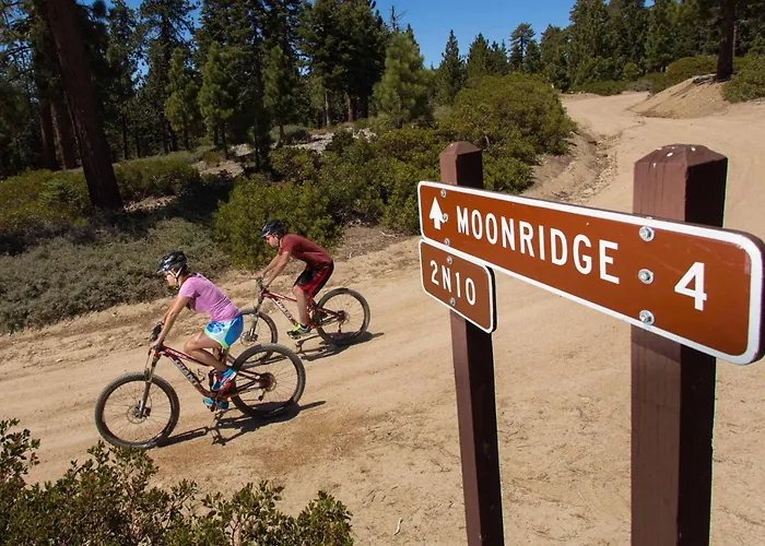 Twin Pines Family Cabin By Big Bear Vacations