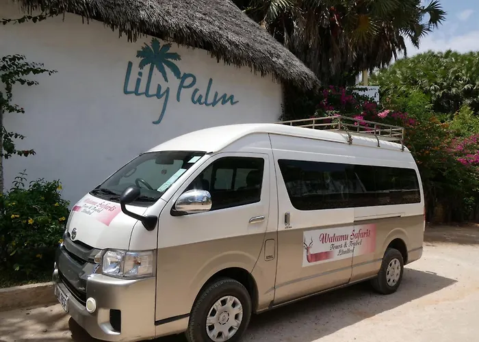 Lily Palm Resort