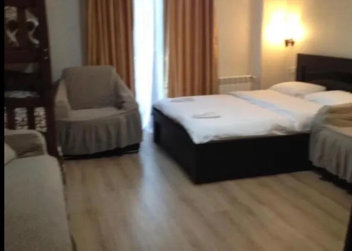 David Apt On Bakuriani Orbi Palace