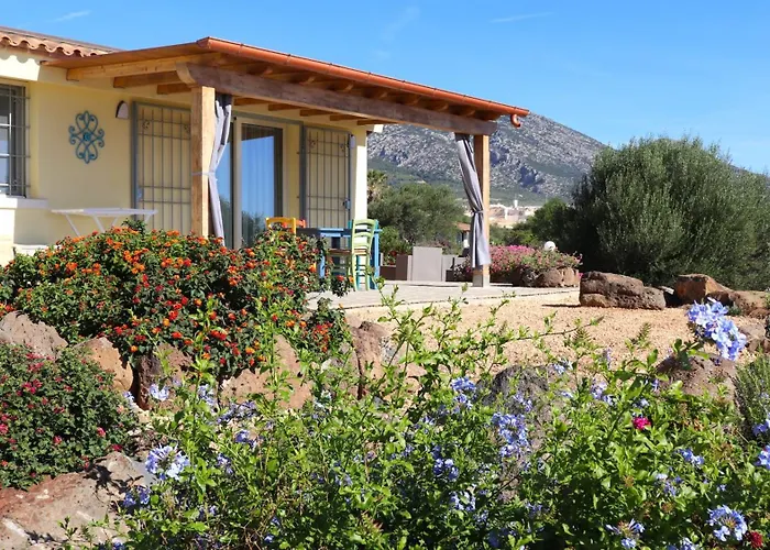 Country villa Sant' Elène - Appartamento Olivo