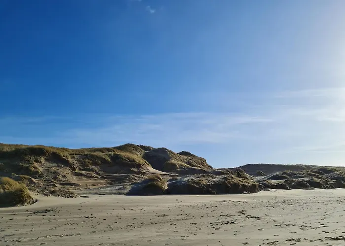 Hotel Bloemendaal By Bhc