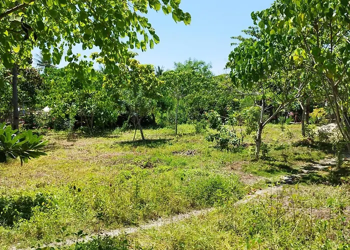 Celtis Resort