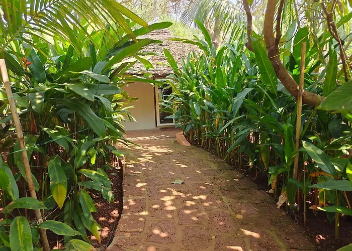 Habitus Resort