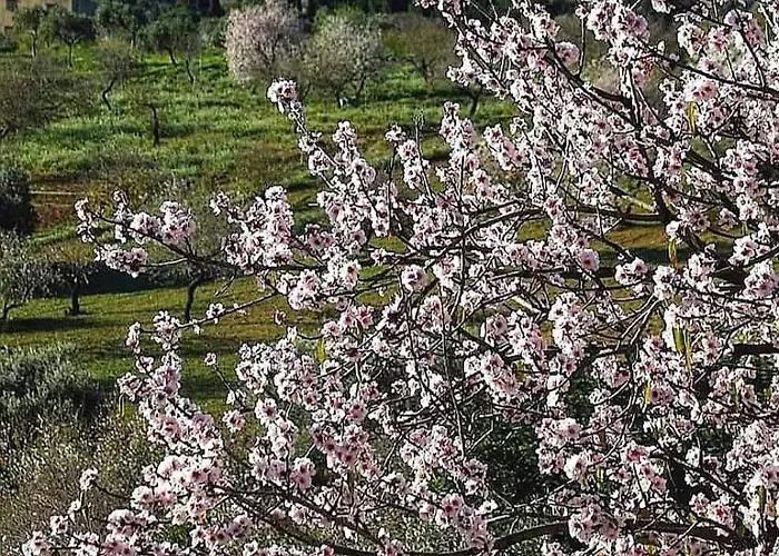 Casa Vacanze Villa Eolo