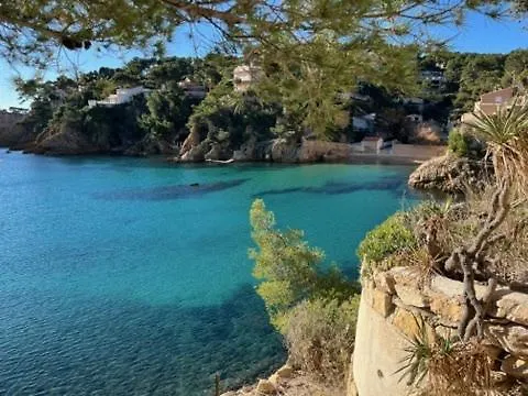 Un petit coin de paradis - Studio Pura Vida, à 200m de la plage dans une calanque préservée