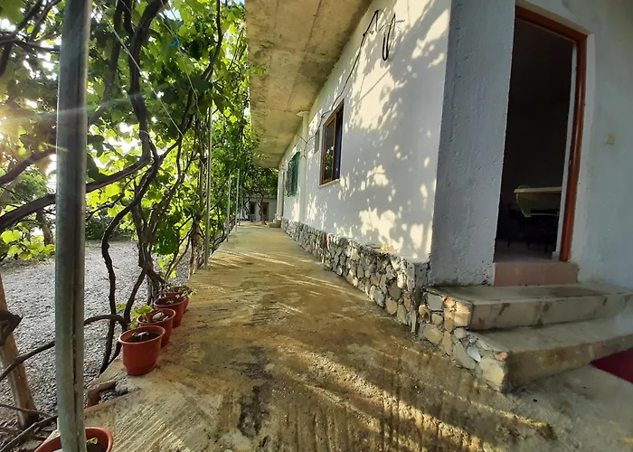 Jungle House