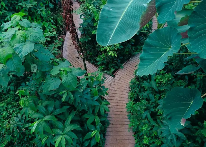 Rp Botanical Park, Hotel & Resort