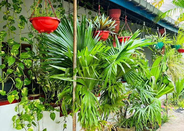 Pranu House