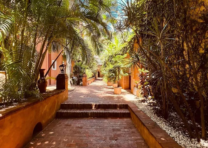Paseo Colonial - Leo'S Favorite #8