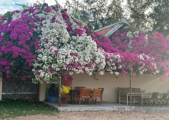 Orchid Boutique Beach Resort