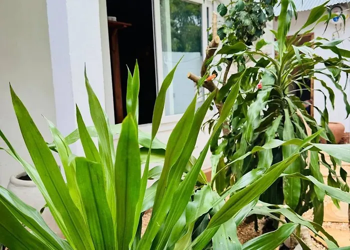 Compass Hostel