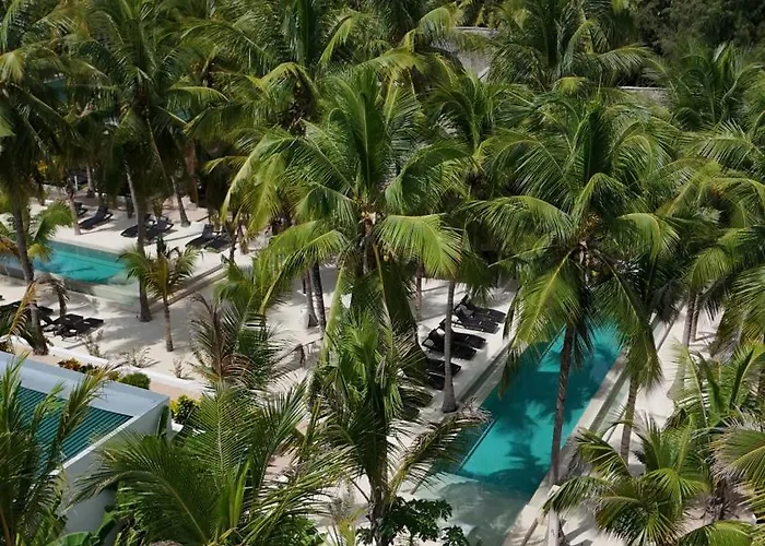 The Oasis Residence