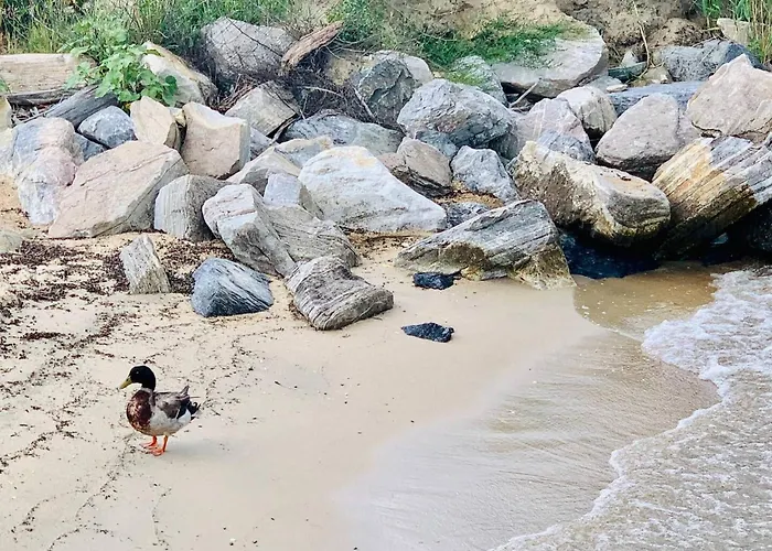 Walk To The Beach! Beach Passes | Games I King Bed