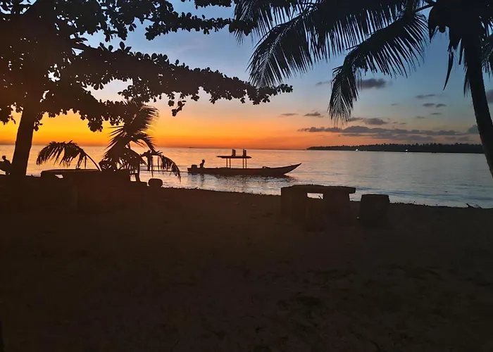 Twin Palms Villa&Homestay