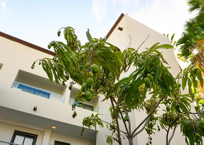 Hotel Loreto Palmar