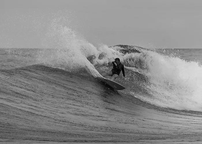 Twin Palms 'Beach House' - New Surf Front Location