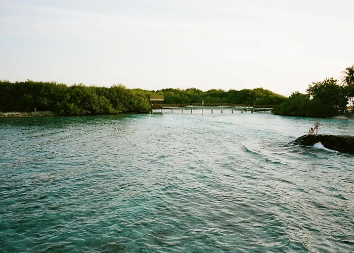 Twin Palms 'Beach House' - New Surf Front Location