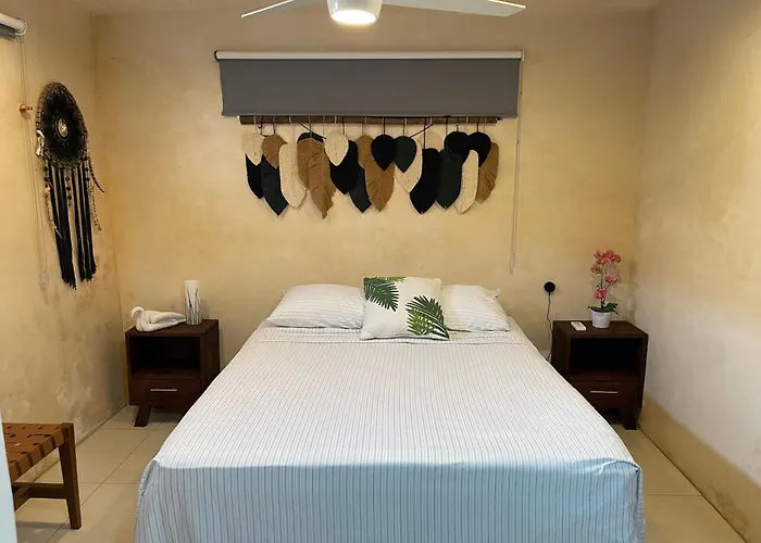 Casa Rey
