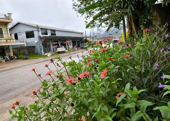 Dok Champa Resort