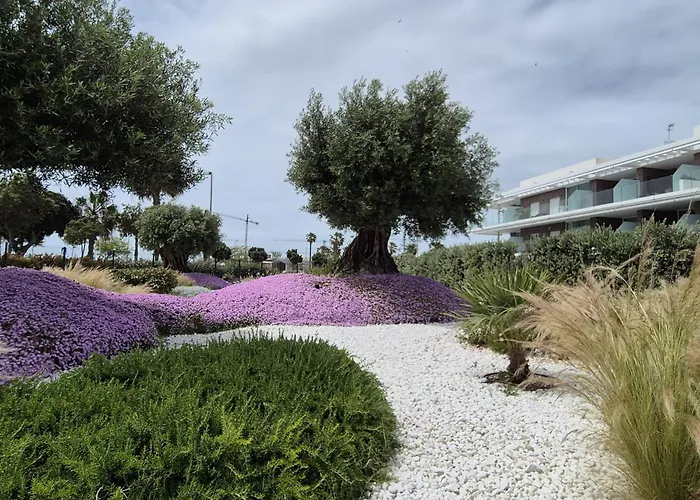 Elevenlights-Costaballena Garden View