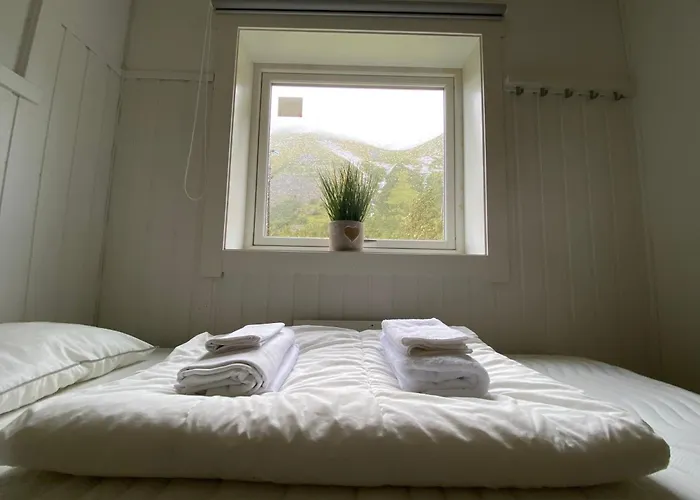 Northern Light Hotell/Camp Steinfjord