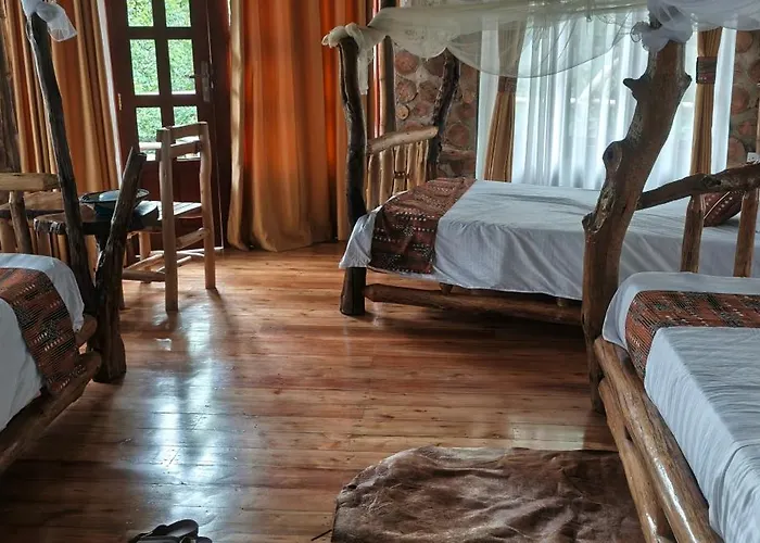Chimpanzee Capital Safari Lodge