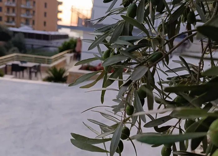 Sole Inn
