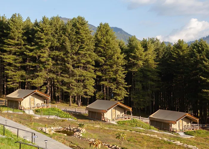 Gangtey Tent Resort