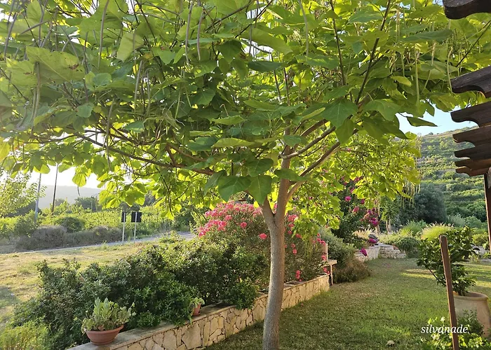 Il Castello Di Modolo
