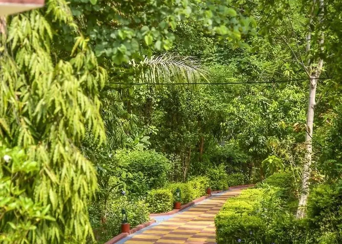 Backpackers Jungle Resort