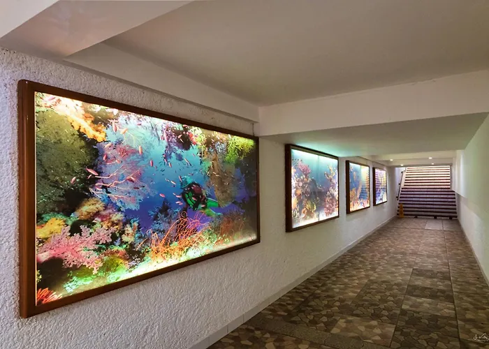 Cozumel Hotel & Resort All Inclusive