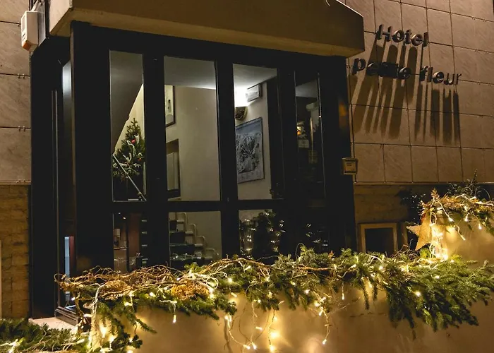 Hotel Petite Fleur