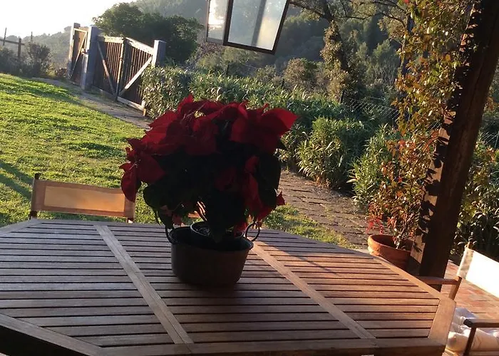La casa nella Macchia