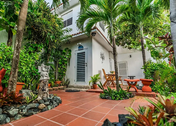 Coconut Palms Rincon